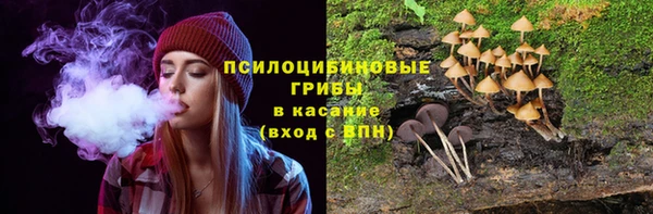 прущие грибы Гусиноозёрск