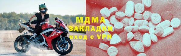 прущие грибы Гусиноозёрск