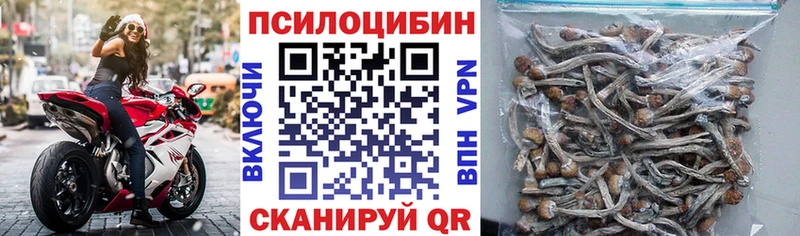 Галлюциногенные грибы MAGIC MUSHROOMS  где купить наркотик  Алейск 