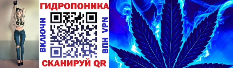 наркошоп  Алейск  Конопля индика 